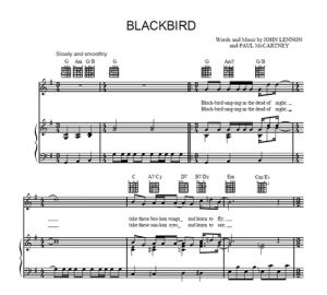 Blackbird - The Beatles - sheet music - Purple Market Area