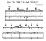 Can You Feel the Love Tonight (El Rey León)